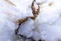 Quartz stone, very close up. natural white crystallized stone with veins.