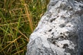 Quartz-studded Limestone Pinnacle of Akiyoshidai