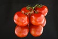 Quatuor de tomates grappe dans le noir Royalty Free Stock Photo
