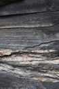 Quatz veins in rock seen close up Royalty Free Stock Photo