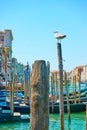 Quayside for gondolas in Venice