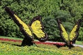 Butterfly at the mosaiculture Once Upon a Time Earth,