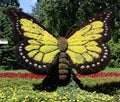 Butterfly at the mosaiculture Once Upon a Time Earth,