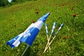 Quebec Flags. National Day Celebration Patriot Saint Jean Baptist. Cultural Holiday, June 24th, Province in Canada. Royalty Free Stock Photo