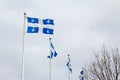 Quebec flags in Quebec city, QC, Canada Royalty Free Stock Photo