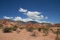 Quebrada de Cafayate