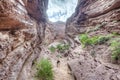 Quebrada de las Conchas, Salta, northern Argentina