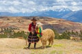 Quechua Indigenous Woman with Alpaca, Peru Royalty Free Stock Photo