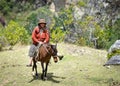 A Quechua lady rides her mule on the Inca Trail, Cusco, Peru