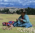 Quechua woman with dried potatoes. Royalty Free Stock Photo