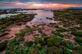 Travel Beach Sunset Goa RockBeach