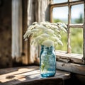 Queen Anne\'s Lace Bouquet In A Sunny Window