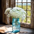 Queen Anne\'s Lace Bouquet In Turquoise Mason Jar