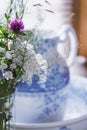Queen Anne`s lace with clover in vase with blue and white water pitcher behind Royalty Free Stock Photo