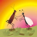 Queen ant and cricket Royalty Free Stock Photo