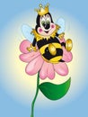 Queen bee on flowers Royalty Free Stock Photo