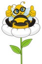 Queen bee sit on the flower Royalty Free Stock Photo