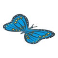 Queen blue butterfly icon, isometric style Royalty Free Stock Photo