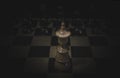 Queen chess piece on a chess board with spotlight on it - concept of courage, bravery