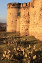 Queen Darejan (Tamarisi) fortress (Kvemo-Kartli, Georgia) Royalty Free Stock Photo