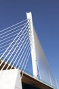 Queen Elisabeth bridge Royalty Free Stock Photo