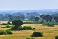 Queen Elizabeth park, Uganda