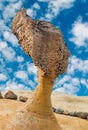 Queen Head Rock in Yehliu Geopark, Taiwan Royalty Free Stock Photo