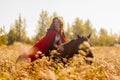 the queen on the horse jumps among Royalty Free Stock Photo