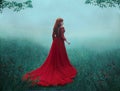 The Queen in a luxurious, expensive, red dress, walks in a thick fog with a long train. A young-haired girl in a golden