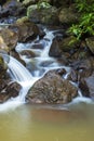 Queen Mary Falls Royalty Free Stock Photo