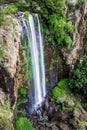 Queen Mary Falls, Waterfall, Main Range National Park, Queensland, Australia, March 2018 Royalty Free Stock Photo