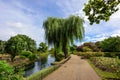 Queen Mary's Rose Gardens in Regent's Park, London, UK. Royalty Free Stock Photo