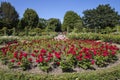 Queen Marys Gardens in Regents Park, London Royalty Free Stock Photo