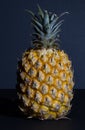 A queen pineapple with top knot of leaves intact