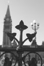 Trillium flower iron gate of the Canadian Parliament