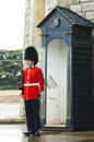 Queen`s Guard, Buckingham Palace, London while showering Royalty Free Stock Photo