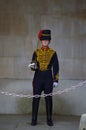 Queen's guard Royalty Free Stock Photo