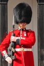 Queen's Guard