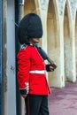 Queen's Guard preparing to be on duty inside Windsor castle Royalty Free Stock Photo