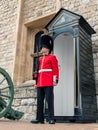 Queen`s Guard - Tower of London Royalty Free Stock Photo