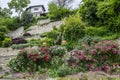 Queen`s Mary of Romania rose garden