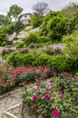 Queen`s Mary of Romania rose garden