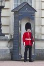 Queen Soldier Guard in Buckhingham Palace