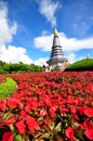 Queen stupa at the peak of Doi Inthanon