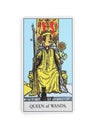 The Queen of Wands tarot card on white background, top view