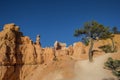 Queens garden trail in Bryce Canyon