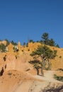Queens garden trail in Bryce Canyon Royalty Free Stock Photo