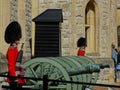 The queens gaurd Royalty Free Stock Photo