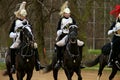 Queens guard riding