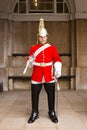 Queens Guardsman Royalty Free Stock Photo